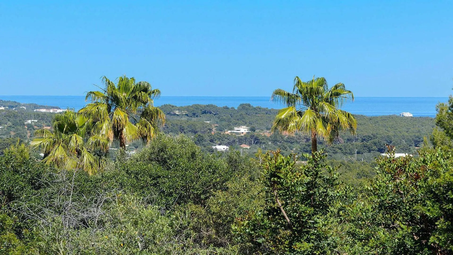 New! Villa Finca Niko - Relax & Panoramic Views 圣埃乌拉利亚 西班牙